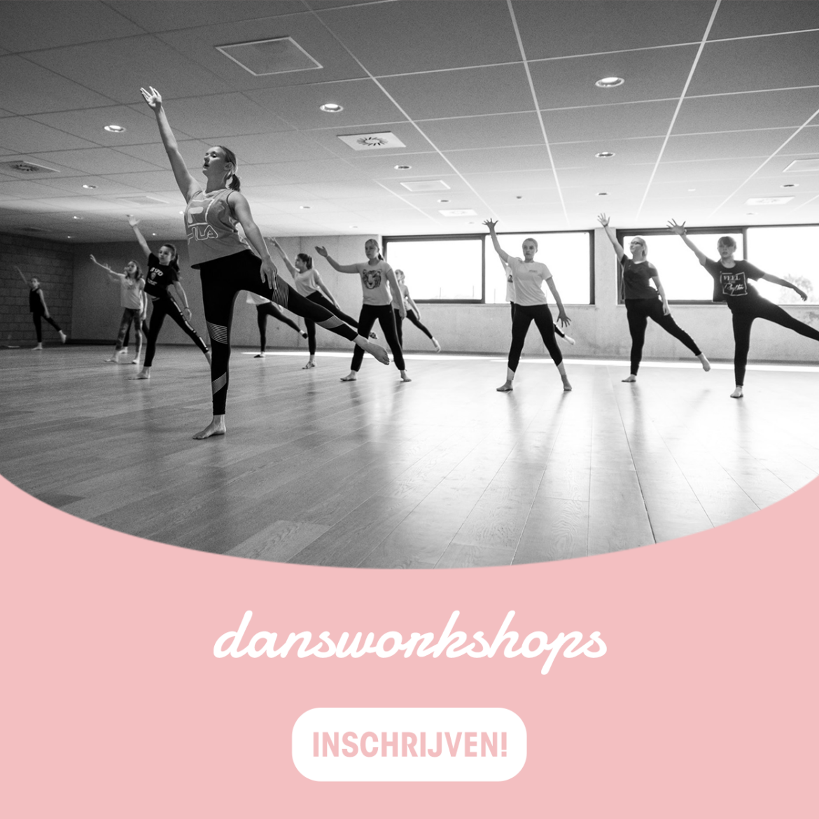 DANSWORKSHOPS.png