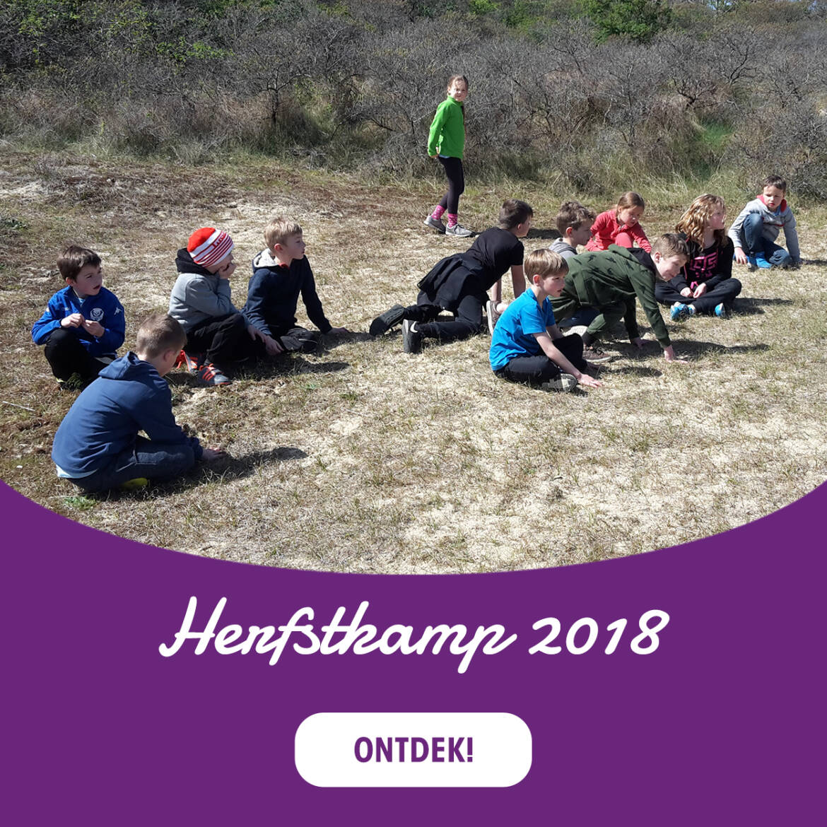 HERFSTSPORTKAMP-2018.jpg