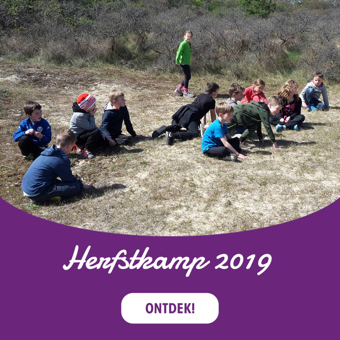 HERFSTSPORTKAMP-2019.jpg