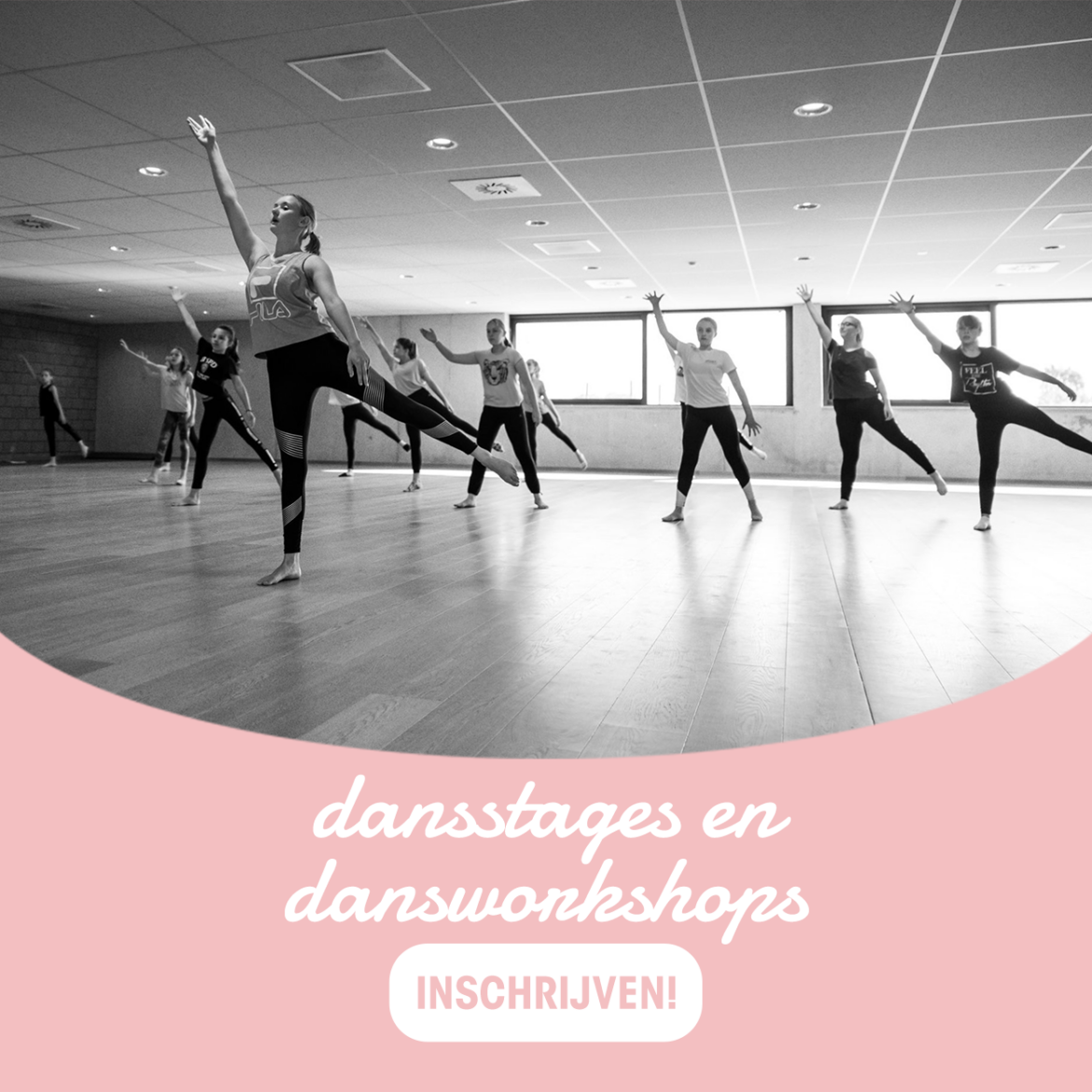 dansstages-en-dansworkshops.png